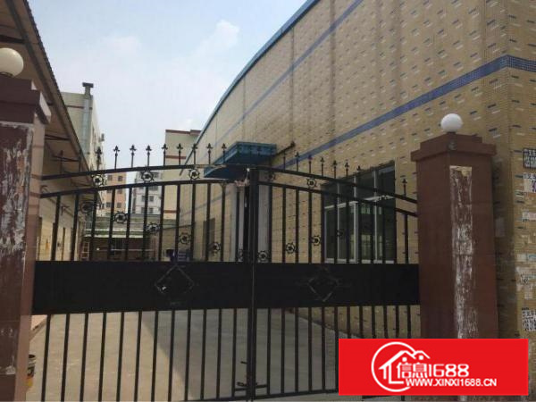 秋长小独院钢构厂房可过大货柜