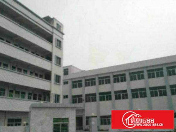 万江简沙洲工业园新空出标准楼上1800平方出租厂房形象漂亮，