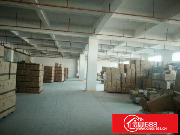 布吉吉盛昌工业区500方，有办公室，一楼厂房出租