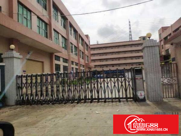 松岗洪桥头新出独院原房东厂房3300平方有红本带装修实际面积