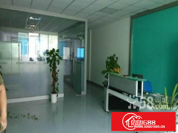 坂田高新科技园新出3楼4楼每层3000平方刚刚招租