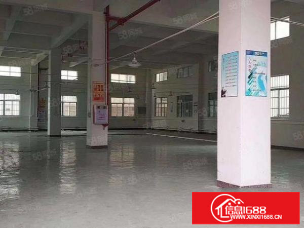 企石镇镇中心位置新出一楼1550平方，厂房现成装修