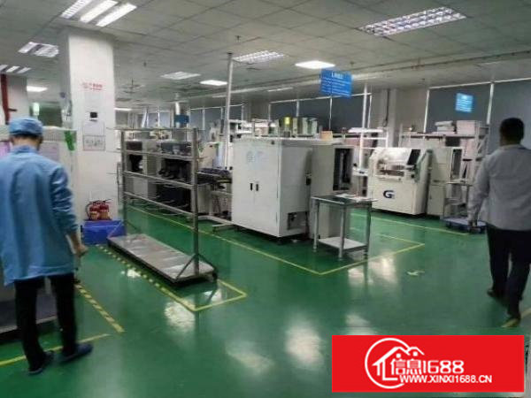 横坪快速旁碧岭大型工业园楼上1090平带装修出租