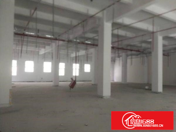 清溪镇渔梁围管理区新出标准一楼滴水七米1600平厂房出租