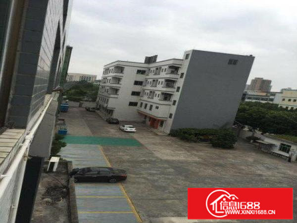 出租东莞茶山独院红本上市厂房8000平方空地超大