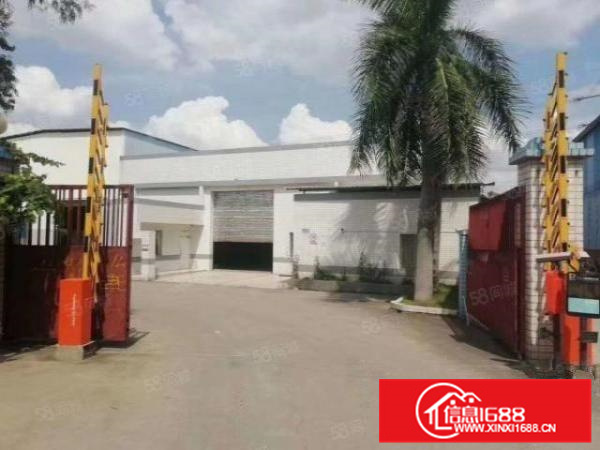 房东直租罗村白沙桥独门独院厂房1920方，办公宿舍配套，电大