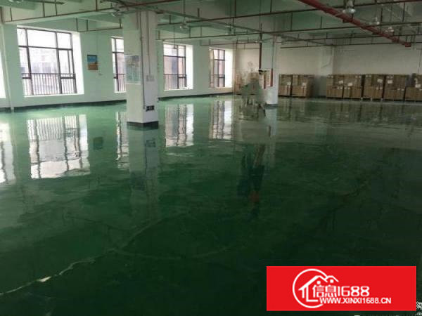 厚街大型成熟工业区带地平漆带有消防喷淋独栋招租