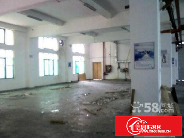 大浪行政中心鹏腾达科技园新出一楼580平方带简单装修招租