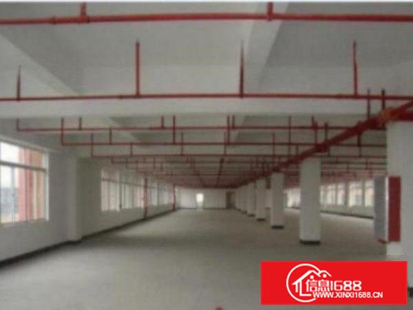 高埗一楼厂房出租50015002000平方出租配电按需，