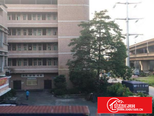 非中介独栋厂房分租，院内配有饭堂宿舍