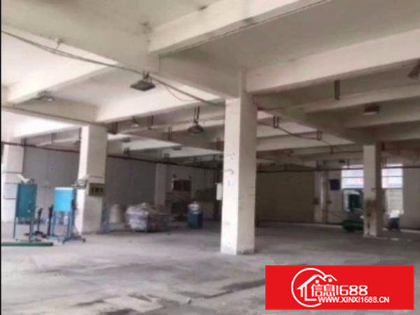 常平桥梓村标准厂房一楼1830平高5.5米水电齐全空地大