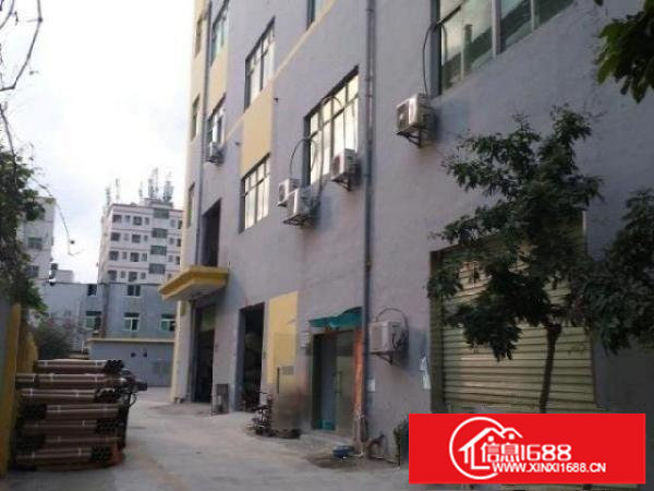 横坑1楼1200平方厂房出租