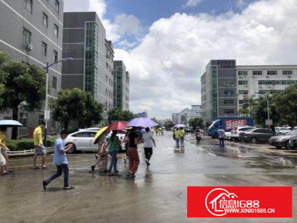 村委无公摊厂房2整层1000平米，带精装修无转让费，拎包入驻