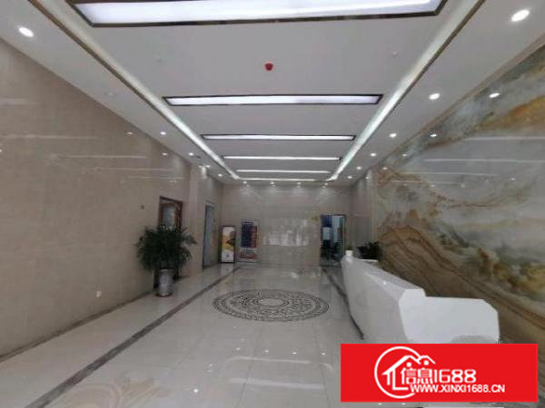 龙岗区布吉木棉湾200-2600平适合电商主播室教育机构清吧