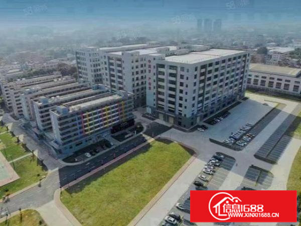 常平新出标准一楼5000平方，层高7.8米，带卸货平台空地大