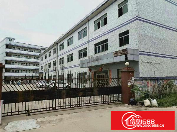 坪山坑梓金沙独院2350平厂房出租已翻新