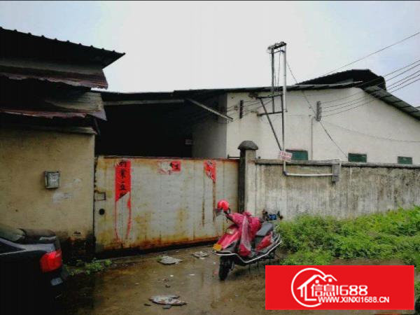 还珠沥村委小独院厂房急租650平米水电办公齐全