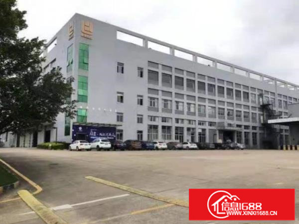 大岭山新出原房东无公摊厂房2000平方，带免费行车