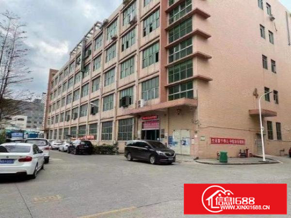 常平新出原房东独院厂房出租一层1500平方精装修办公室好招工