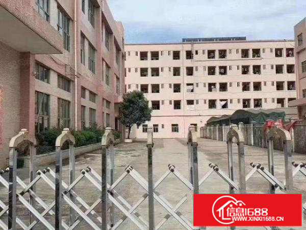 凤岗雁田新出一楼2200平二楼2200平厂房出租可分租