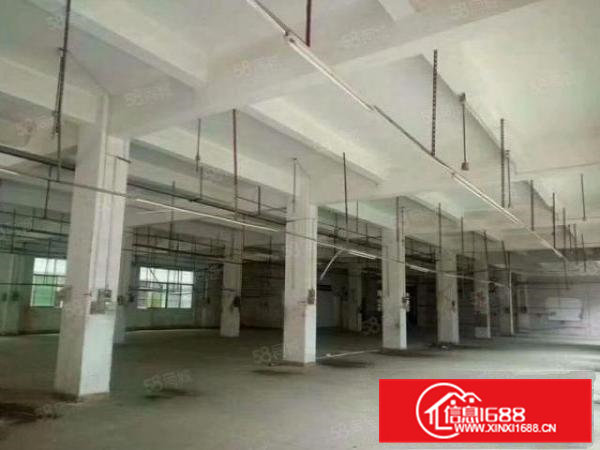 可办环坪经典原房东标准独门独院带牛角2层2200平厂房出租