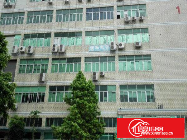 大浪澳华工业区新出一楼630平米厂房仓库招租