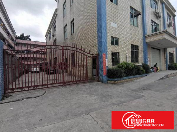 塘厦平山新出独门独院厂房800平带装修水电齐全