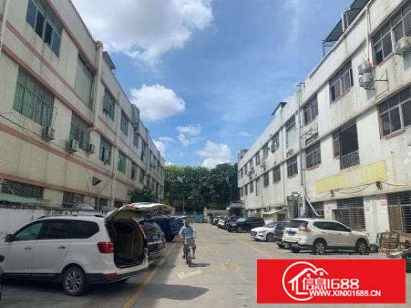 107国道旁楼上精装修厂房招租