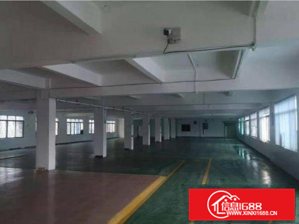 黄江镇袁屋围带地坪漆标准独院厂房800平方出租