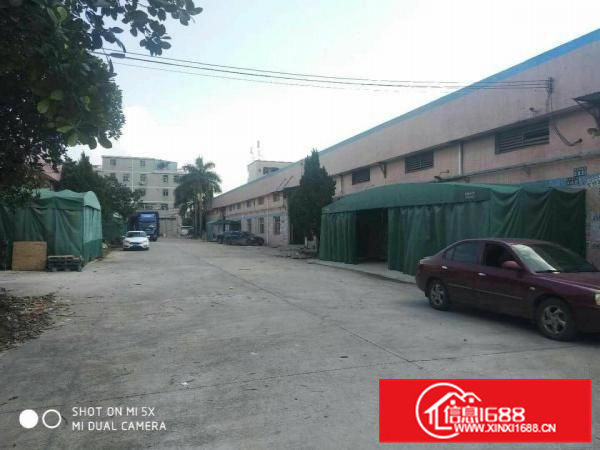 惠阳新圩1100平原房东独院钢构高8米带行车空地大