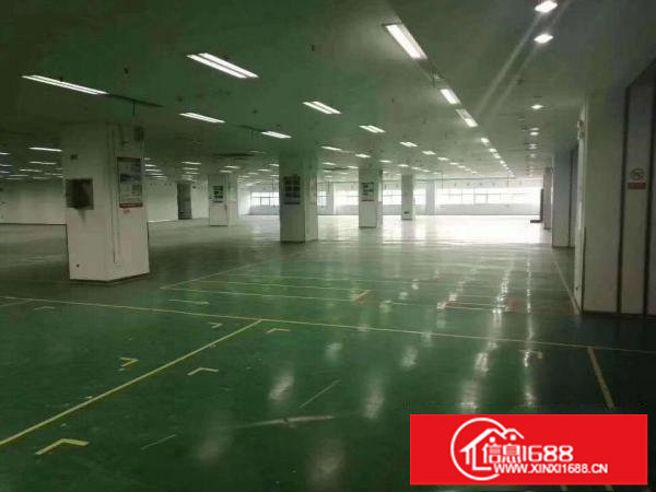 布吉吉华路边上大型园区1万平方红本厂房出租200分租可办环评