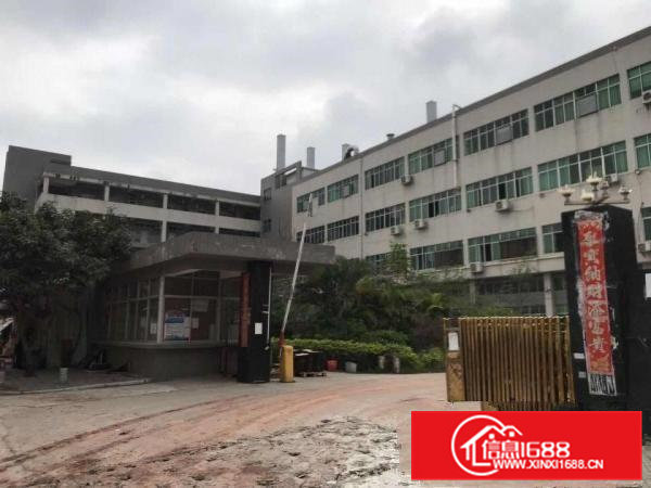 大朗富民工业城空出一楼1450平，高六米，带行车带办公室装修