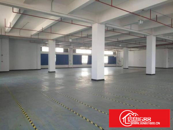 长安乌沙步步高总部旁二楼1400平豪华装修招租