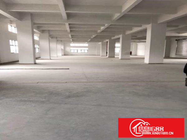 常平苏坑独门独院2500平米标准厂房招租带装修