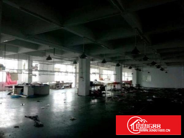 西乡带装修厂房整层1400平米对外招租