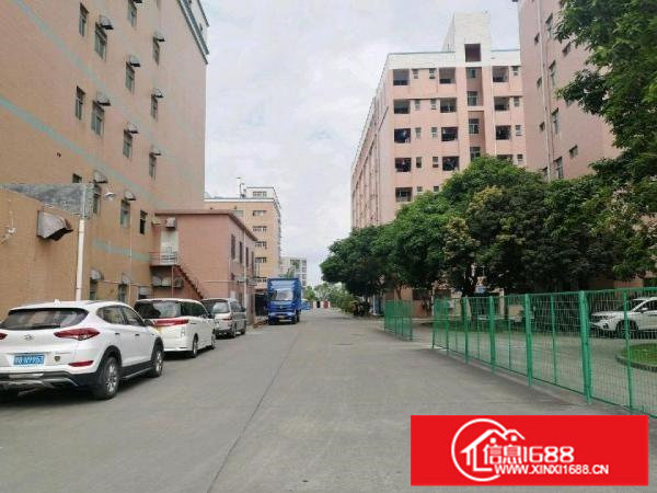 丹竹头立信路200-1000平方厂房仓库招租