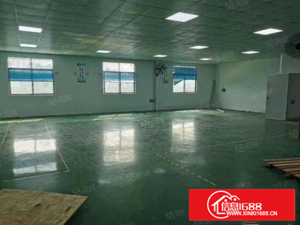 塘厦原房东小面积厂房出租，各式各样的都有。