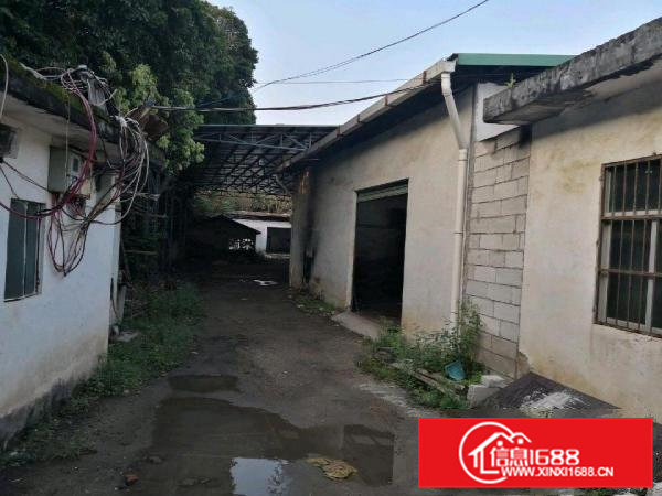 厂房出租，可分租，欢迎有能力客户一起共赢，建多钱层