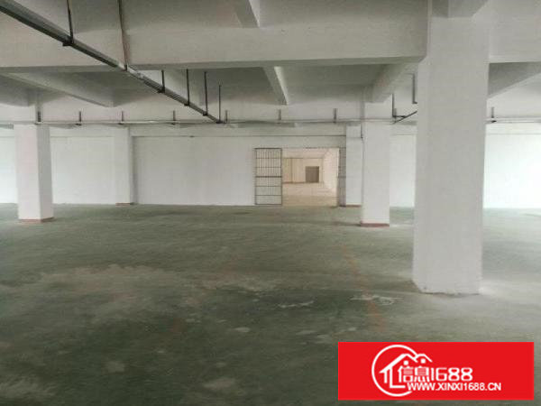 观澜环观南路牛湖收费站红本厂房出租