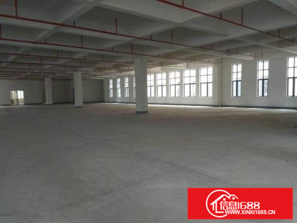 原房东独门独院标准厂房出租