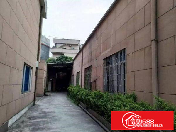 清溪九乡工业区单一层2600平砖墙铁皮顶厂房带精装办公室