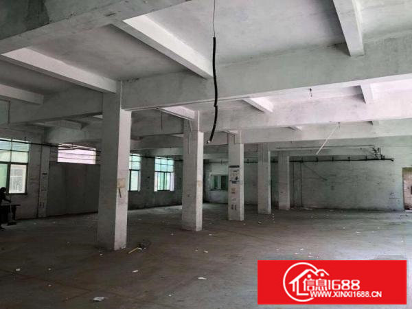 新出经典独门独院4700平在坪山深汕路边上