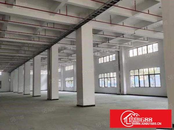 全新原房东标准独院厂房出租，大小可分租整租