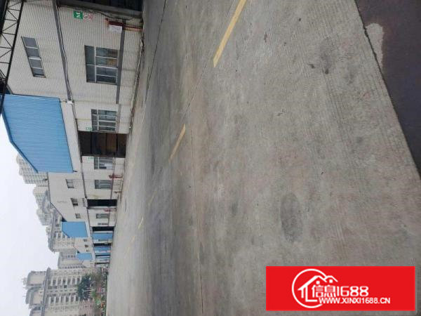 出租桥头镇花园一层厂房