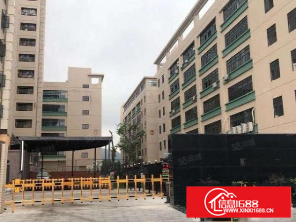 看图看厂房！林村成熟工业园单层标准6800平，大小面积可分租