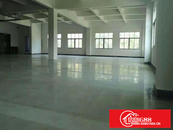 高埗新空出标准一楼900平米厂房出租