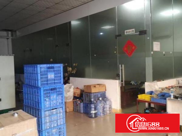 新出厂房石碣标准厂房一楼，有宿舍饭堂