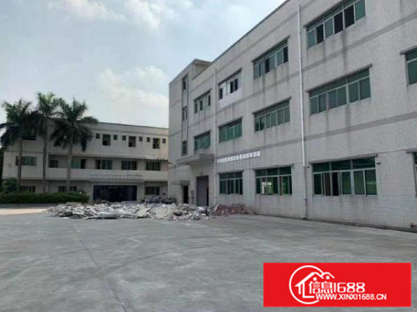 大量中堂,高埗,万江,东城,南城,标准-单一层厂房招租