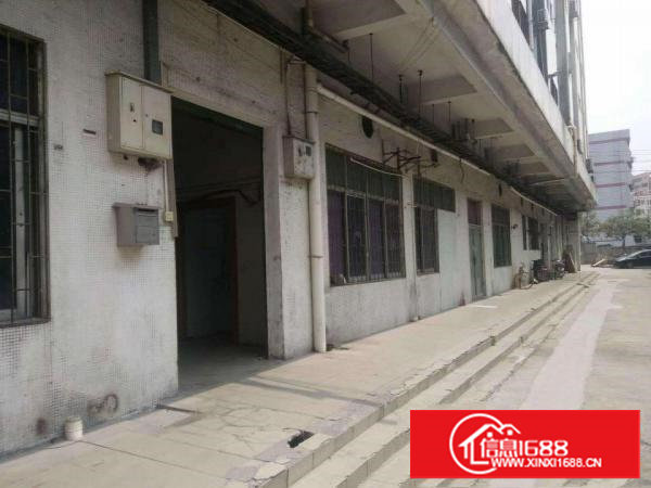 （村委厂房）涌头一楼260平厂房出租带办公室主线到位