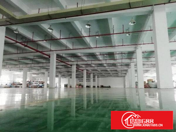 塘厦138工业区标准2楼3900平方！宽敞明亮！形象大气